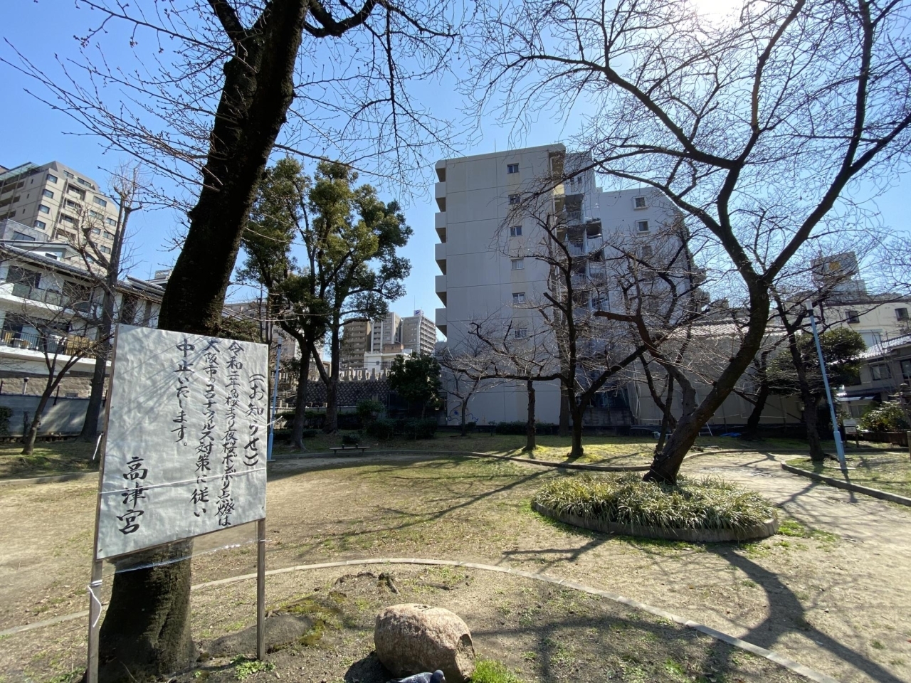 桜の名所 高津神社 浪速高津宮 が 桜まつり 夜桜ボンボリ点灯 の中止を発表 大阪 桜の開花情報 まいぷれ 大阪市中央区