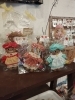 「Sugar &仲間たち　in森の泉【展示販売会】」