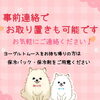「ココアスドッグフェス出店♪」