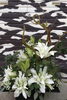 鎮魂の花「災害　　　-鎮魂の花を-」