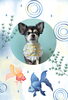 「Dog salon mofu mofu　余市町」