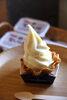 「150年以上続く“もろみ仕込み”の味。キミセ醤油 五穀蔵に行ってきました！」