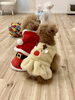 Ｓきぃ🎅とサラントナカイさん🎄「ましゅまろ幼稚園🐾」