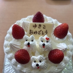 本日のお誕生日ケーキ
