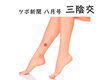 「三陰交」ホルモンバランスの乱れを感じたら使うツボ「【茅場町駅徒歩1分】ツボ新聞8月号「三陰交」ホルモンバランスの乱れを感じたら使うツボ」