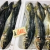「魚魚市場鮮魚コーナー「岩カキ・ワタリガニ」です♪」