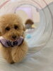 まっちゃちゃん「ｋｏｎｉｗａｎから　^ - ^」