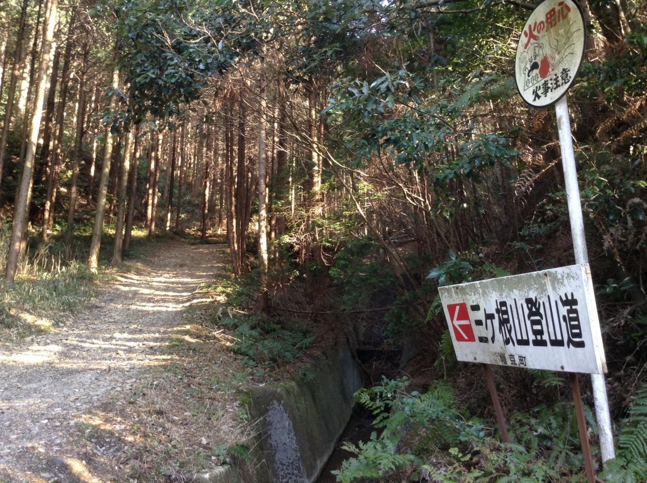 三ヶ根山登山道