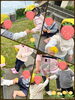 タンポポ見つけたよ♡はいどぉぞ♡「Happy birthday!と春色さがし♡【交野市・小規模保育園】」