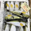 「魚魚い市場鮮魚コーナーは「シマイサキ・カナトフグ」です♪」