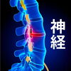 「【腰痛】なぜ腰が痛いのか？」