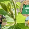 幸せ大豆日記パート4☆『豆腐工房 うえ田』さん♪♪【京都市西京区 大原野】