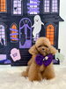 あいすぷぷちゃん「Happy Halloween 2026🎃」