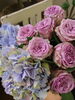 「華やかな 大人ロマンティックなCOLORのお花 入荷しました。。。おうち時間に彩を！」