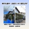 庭木の剪定