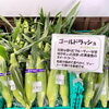 「木曽の高原とうもろこし毎朝入荷します！道の駅木曽福島」