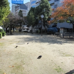 【福島】上福島公園