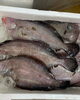 「おはよう御座います」
