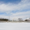 雪のバラ公園