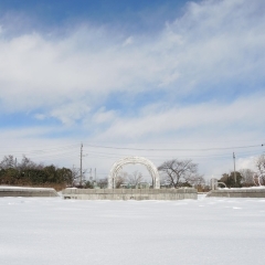 雪のバラ公園