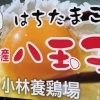 八王子でもっとも有名な八玉子　八王子産の卵　小林養鶏場
