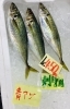 「魚魚市場鮮魚コーナーおすすめは「ノドグロの開き」です」