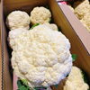 「地場野菜のセリ場に、 岩手県産「カリフラワー」の出荷が始まりましたよ～。」