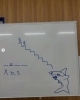 「🌊🦈 サメから助けて！ 🦈🌊」