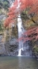 箕面大滝「美しい紅葉🍁」