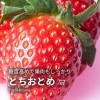 とちおとめ