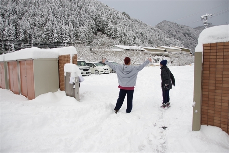 すご～い雪だね！「この冬２度目の本格的な雪が降りました。」