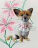 「Dog salon mofu mofu　余市町」