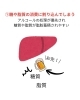 「お酒がダイエットに与える影響」