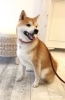 「はじめまして(^-^)」