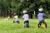 キックバイク体験会「【10月5日（日）カヌーフェスタ開催決定！】」