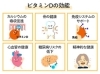 ビタミンDの働きも重要です。しっかり摂取しましょう「日焼けは十分に注意が必要ですが、日光浴はとても大切です。今日は「年齢別の太陽の浴び方のポイント」をお伝え致します。」