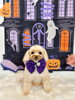 くうちゃん「Happy Halloween 2026🎃」