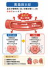 健康的な血圧を保つには適度な運動と食事に注意しましょう！「今日は「高血圧の原因や改善方法」についてです。医学的な視点とトレーナー視点を交えてお話させて頂きます。」
