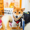 まるちゃん「今日のお友達」