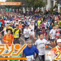 【2023/2/12開催｜愛媛マラソン】まいぷれ新居浜・西条のスタッフも走ります！