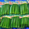「鹿児島県産　「春オクラ」です！！」