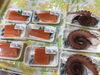 「魚魚市場鮮魚コーナーおすすめは「ヒオウギ貝」です♪」
