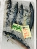 「魚魚市場鮮魚コーナーおすすめは「あじ」「レンコ鯛」です♪」