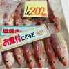 「魚魚市場鮮魚コーナーおすすめは「ノドグロ・ホーボー」です♪」