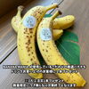 「🍌バナナの日イベント🍌バナナジュース専門店/葛飾区/江戸川区/新小岩/小岩」