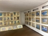 美術館の中をのぞくと、小さな作品がいっぱい！「「第44回 海とさかな 自由研究・作品コンクール」で団体賞を受賞しました」