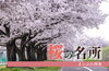 まいぷれ版【西条】桜の名所まとめ「【2026年】新居浜・西条の桜の名所をまとめました！　ぜひご覧ください！」