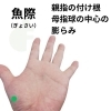 魚際「せきを軽くするツボ【豊明市前後駅からすぐの鍼灸院】」