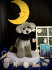 プリンちゃん「お月さまとわんこ🌛」