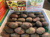 森のバターとも呼ばれる　アボカド☀️栄養満点「台湾パイン🍍　 枚方ビオルネ地下1階　新鮮果実 日野屋」